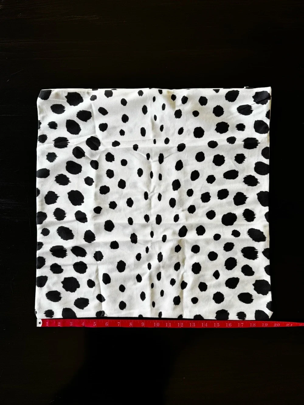 Black & White Euro Sham